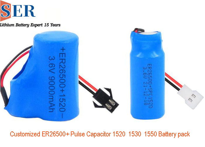 ER26500 WITH 1520 1530 CAPACITOR.jpg