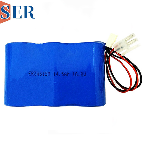 ER14250 BATTERY PACK.jpg