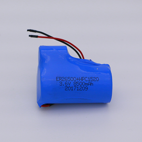 ER26500+HPC1520 BATTERY.jpg