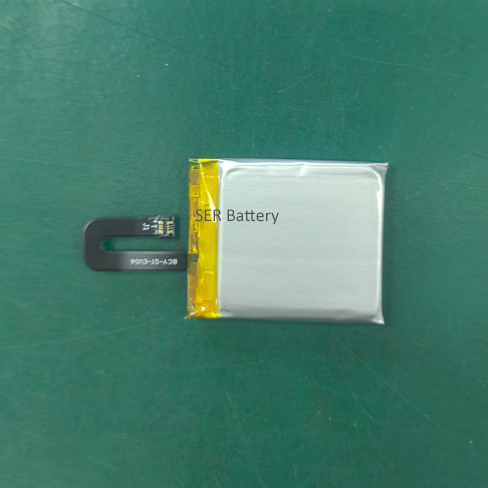 LP103450 fpc bATTERY.jpg