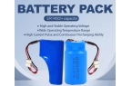 Lithium Battery Indu